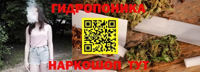 крисы Краснокаменск